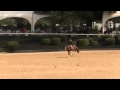 Video of FAIRYTALES ridden by ANNA.