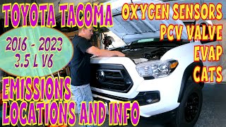Toyota Tacoma V6 3.5L (2016 - 2023) | PCV, O2 SENSORS, EVAP info & Location. #tacoma #mechanic