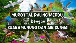 Download lagu ENAK DIDENGAR SUARA BURUNG | MUROTTAL MERDU MISARY RASYID | RELAKSASI JUZ 1 FULL mp3 Download lagu ENAK DIDENGAR SUARA BURUNG | MUROTTAL MERDU MISARY RASYID | RELAKSASI JUZ 1 FULL mp3