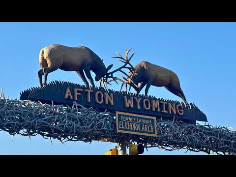 Ultimate Wyoming Elk Horseback Hunting Adventure