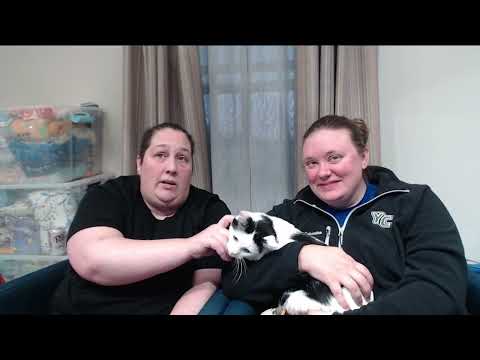 TheKnitGirllls Ep590 - Tact and Abandonment