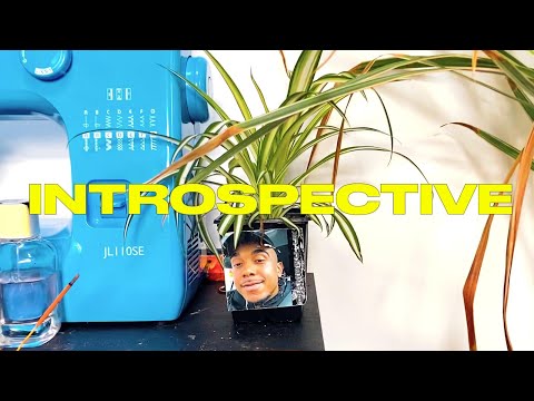 Video thumbnail for Introspective