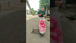 Download lagu What package is #shorts #trending #funny #subscribe mp3 Download lagu What package is #shorts #trending #funny #subscribe mp3