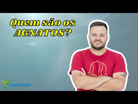 QUEM SÃO OS AGNATOS? - (AULA 37) - ZOOLOGIA - PROFESSOR THIAGO FERREIRA