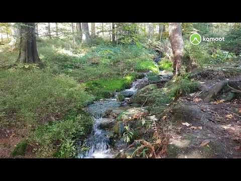 Bayerisch Eisenstein Großer Arbersee Großer Arber Chamer Hütte Rieslochwasserfälle  #MyKomootStory