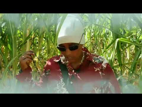 Hidilolaa Daawwadha..