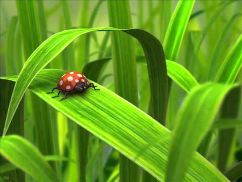 Bot'ox meets Showgirls - Grand Central