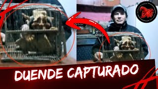 Capturan un duende en San Juan Argentina 
