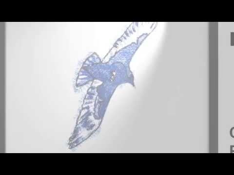 Obliterated Crow an Exhibition by Cliff Crawford