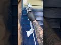 NEW Graco LP Tips