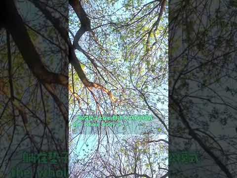 BJ Weekends | Go to Olympic Forest Park to picnic, see flowers and paddle a canoe!