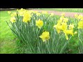 Muzikale Groet Aan De Lente In Het Park Van Ruiselede