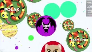 Agar.io/ YGMV Productions/ fuck this kind of people! Agar.io/ YGMV Productions/ fuck this kind of people!