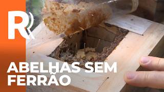 Miniatura do vídeo