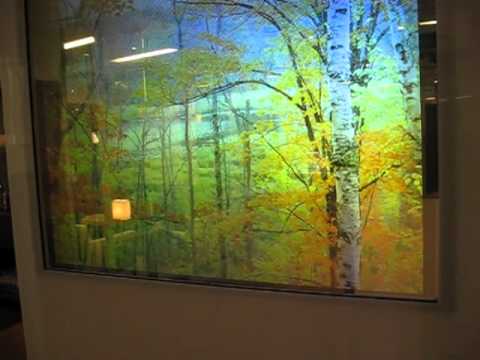 HoloPro in Synergy 4 Health showroom