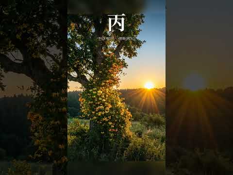 숨길 줄 모르는 큰 빛 | 천간 셋째, 병화(丙火)