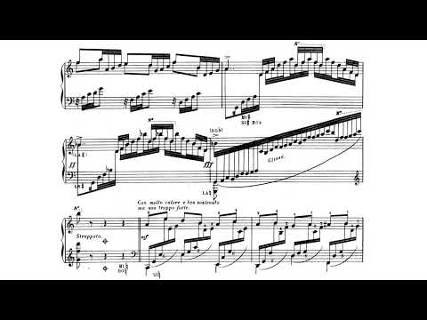 [Carlos Salzedo] Ballade Op.28 (Score-Video)