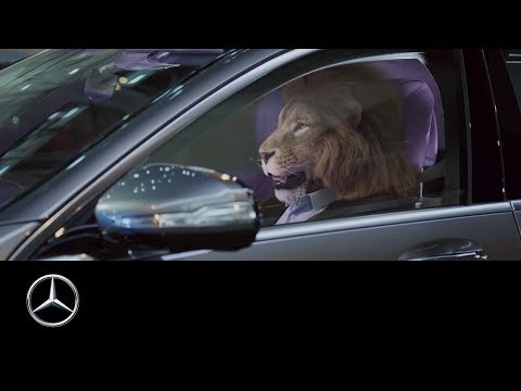 Mercedes-Ben: King of the City Jungle _ S-Class, Commercial Ad .