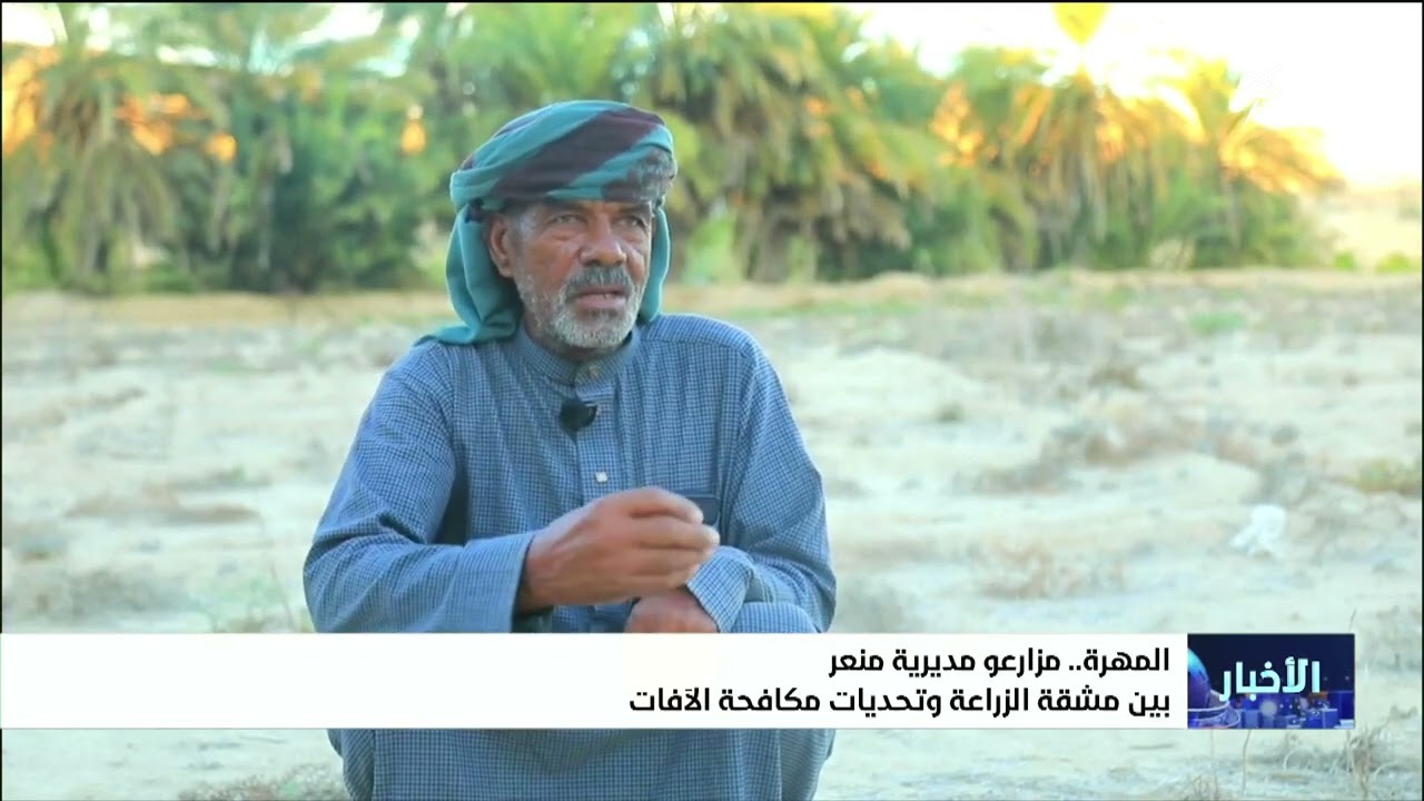 مزارعو مديرية منعر بالمهرة بين مشقة الزراعة وتحديات مكافحة الآفات