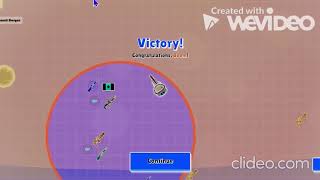 Montage#1 (Wishing well) (Copyright)