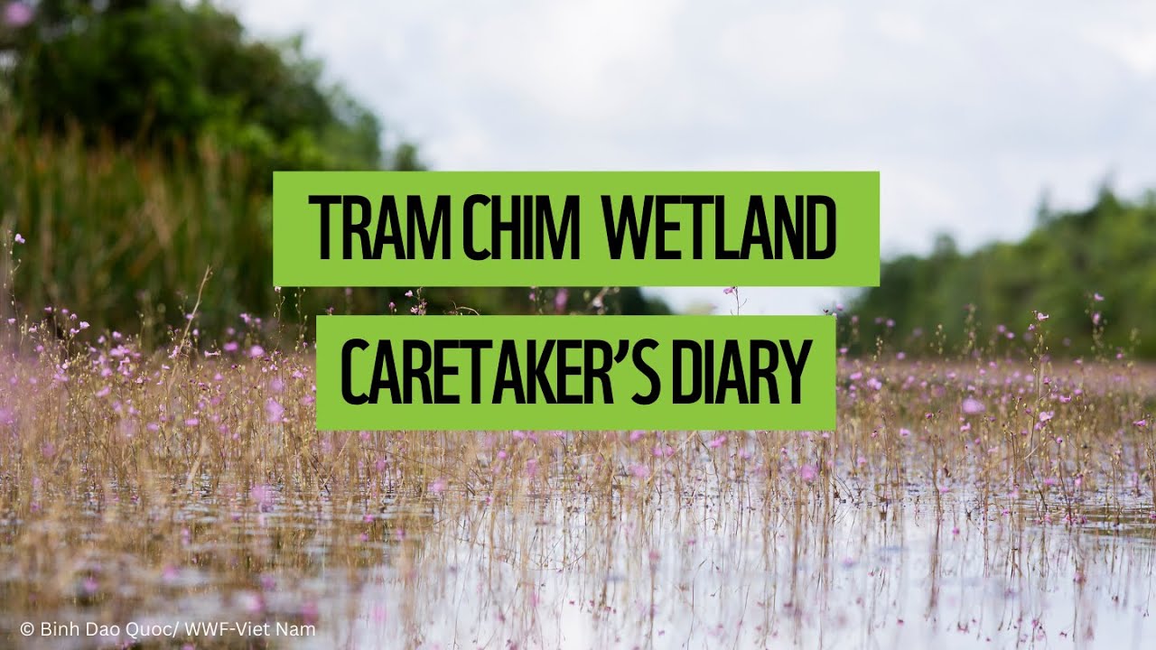 Tram Chim Wetland Carers' Diary