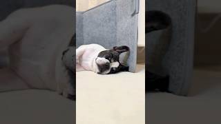 大晦日でも全く変わりません