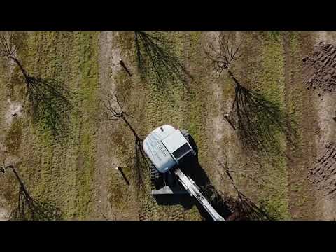 Double Density Hazelnuts 2020