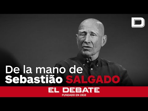 La Cúpula de las Arenas de Barcelona acoge una exposición inmersiva para descubrir la Antártida