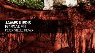 James Kiedis - Forsaken (Peter Steele Remix)