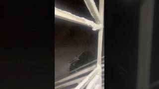 Download lagu Phase 3 Blizzard.  Prudhoe Bay, Alaska.  #blizzard mp3