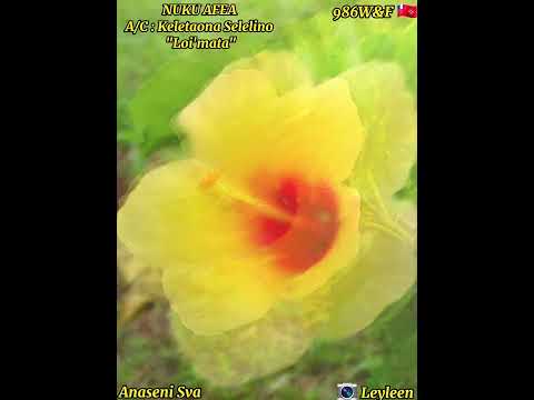 Nuku Afea -A/C: Keletaona Selelino - Lo'imata