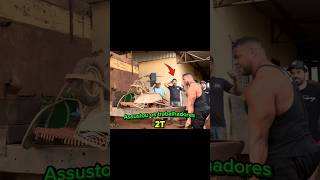 bitelo erguer um vagão de 2 toneladas!!