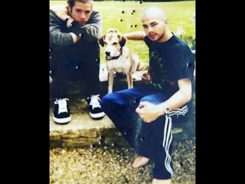 Into The Sun - Leroi - Stuart Zender