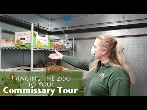 Bringing the Zoo to You: Commissary Tour