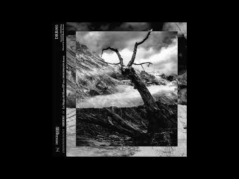 4. La Magia del Kaos (DSNGDMANN Remix)