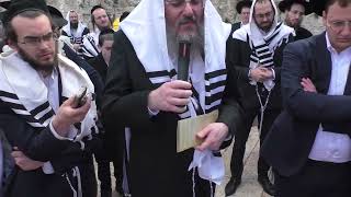 הגר
