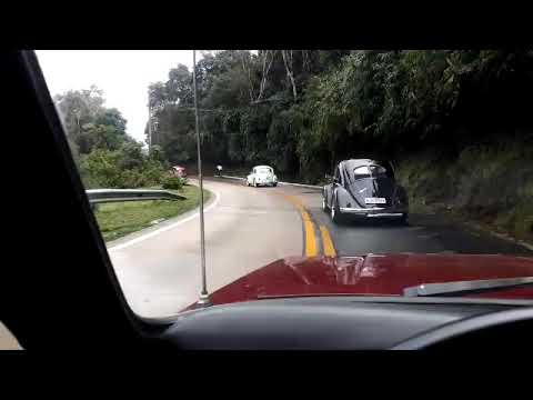 OPALA RAIZ- OPALA NA SERRA DA REGIÃO SERRANA