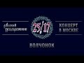 25/17 "Русский подорожник. Концерт в Москве" 06. Волчонок 