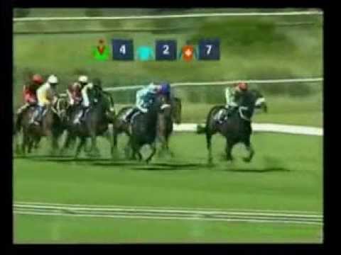 Blaze Of Noon - 2nd win - Racing Association