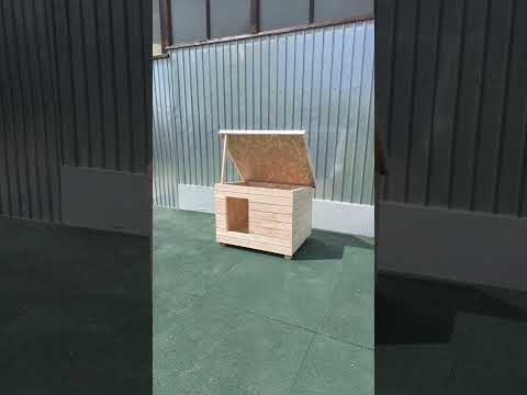 Prezentare Video 360 Cusca Caine Izolata DLNI2 MxS