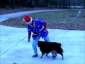 Jingle Bell Rock 12 26 2006