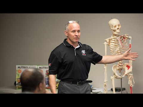 ACE Exam Study: Understanding The IFT Muscular Training "Movement Phase"