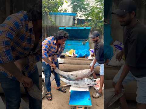 Tuna 🍣 order 79899 63105 #seafood #food #fish #trending #fishing #viralsong #viralvideo