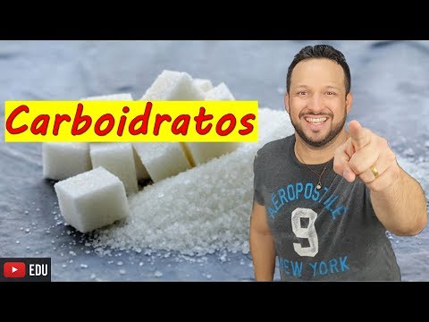 Carbohydrates - Glycides - Biochemistry - Organic compounds - Biology with sharks