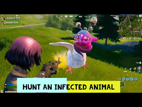 Hunt an Infected Animal - Fortnite