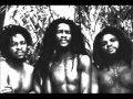 The Itals - Truth Must Reveal - live