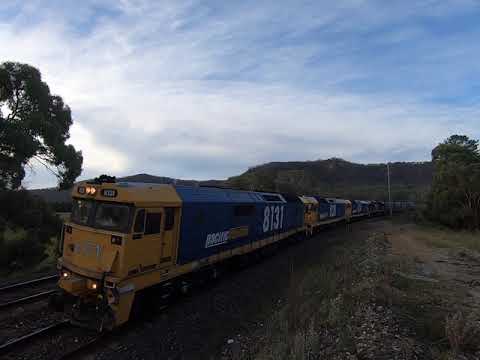 8131, 28, 34 & 8255 at Jeffrey's Siding NSW. Thu 23rd Apr 2020