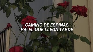 Alejandro Sanz — Camino De Rosas [letra]