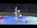 Circus Of The Senses Allows Everyone To Enjoy The Show