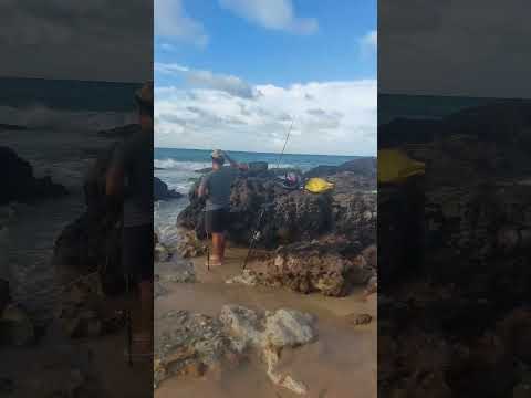 Praia de Paracuru Ce #robalo #viralvideo #praia #mar #paracuru #pescaria